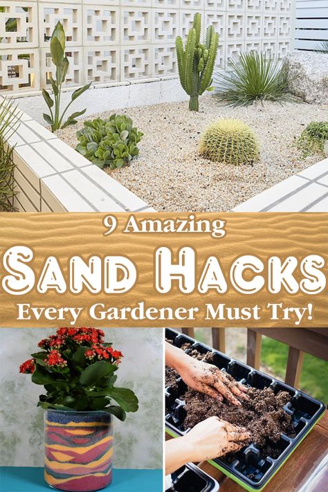 Here are some Amazing Ways to Use Sand in the Garden that will make your yard chores a lot more easier! Try them today! Landscaping Sand, Planting In Sandy Soil, Clean Garden Tools, Japanese Garden Plants, Garden Mulch, Narrow Garden, Indoor Water Garden, Outside Plants, Zen Garden Design