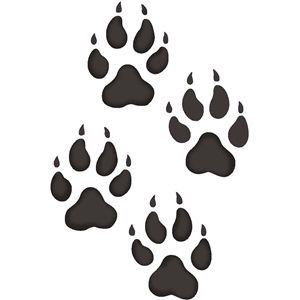 Printable Silhouettes, Wolf Tracks, Animal Paw Prints, Wolf Birthday, Wolf Paw Print, Wolf Paw, Wolf Silhouette, Silhouette Online Store, Lion Paw