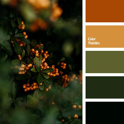 Color Palette Ideas | Page 3 of 512 | ColorPalettes.net In Color Balance, Color Palette Ideas, Warm Palette, Color Schemes Colour Palettes, Palette Ideas, Kunst Inspiration, Green Colour Palette, Design Seeds, Color Palette Design