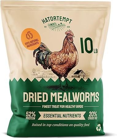 Amazon.com : Hatortempt Bulk Dried Mealworms 10 lbs – Premium Organic Non-GMO Dried Mealworms for Chickens – High Protein Chicken Feed Meal Worms for Wild Birds & Chicken Treats for Laying Hens : Pet Supplies Meal Worms For Chickens, Mealworms For Chickens, Organic Chicken Feed, High Protein Chicken, Wild Chicken, Raising Chicken, Meal Worms, Chicken Protein, Chicken Farming