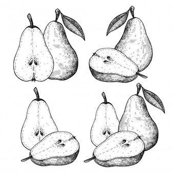 Pear Template, Pear Sketch, Pear Tattoo, Vegetables Drawing, Fruit Sketch, Vegetable Drawing, Pear Fruit, Pastel Sec, Wood Burning Art