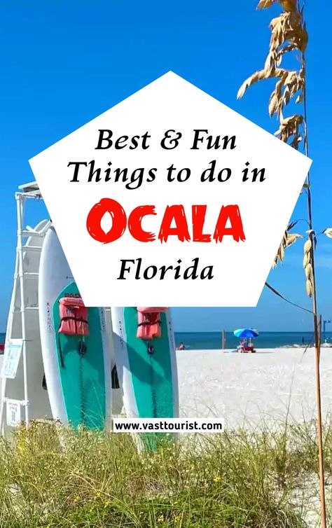 Best and Fun things to do in Ocala Florida 
Places to visit in Ocala Florida 
What to see in Ocala Florida 
Amazing attractions in Ocala 
Travel to Ocala Florida United States Ocala Florida Things To Do, Ocala National Forest, Ocala Florida, One Day Trip, Vacation Usa, American Travel, Picnic Area, Florida Beaches, Weekend Trips