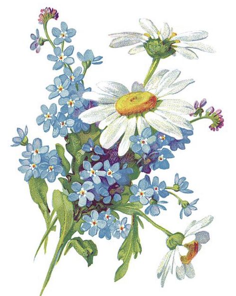 Daisy Wall Art, Daisy Wall, Daisy Art, Daisy Tattoo, Decoupage Ideas, Blue Florals, Decoupage Art, Forget Me Nots, Watercolor Inspiration