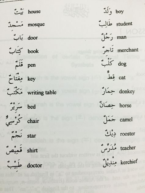 Arabic Notes Study, Writing In Arabic, Arabic Practice, Arabic Notes, Arabic Conversation, Learning Arabic For Beginners, Arabic For Beginners, Arabic Language Learning, Quranic Arabic