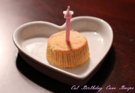 Cake Recipe For Cats, Cake For Cats, Cat Birthday Cake, Birthday Cake Recipes, Birthday Cake For Cat, Healthy Cupcakes, Puppy Cake, A Birthday Cake, Birthday Cake Recipe