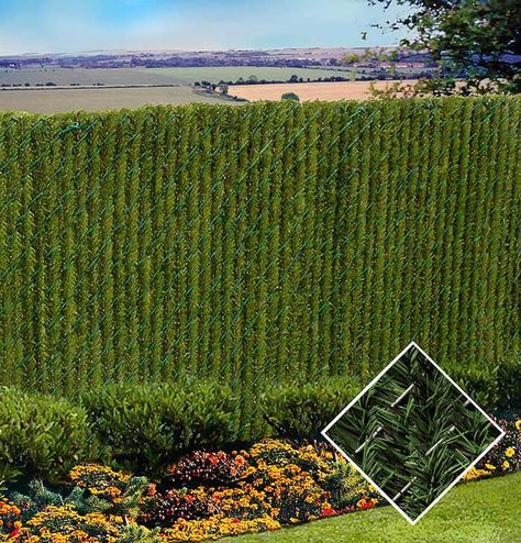 Fence Hedge, Privacy Slats, Chain Link Fence Privacy, Fence Cover, Fences Alternative, Cheap Privacy Fence, Natural Fence, Privacy Landscaping, Living Fence