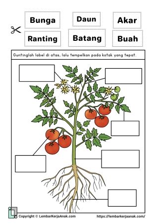 Tema Tanaman | Lembar Kerja Anak TK - PAUD | Struktur, Jenis, dll Short I Worksheets, Tanaman Tomat, Body Parts Preschool, Preschool Activities Printable, Muslim Kids Activities, Reading Comprehension For Kids, Diy Preschool, Farm Projects, Muslim Kids