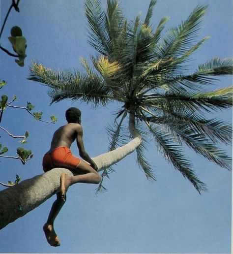 Black Photography, Jolie Photo, Black Culture, Island Life, Photography Inspo, Black Is Beautiful, Pose Reference, Film Photography, Rio De Janeiro