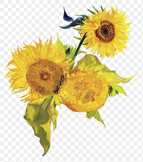 Van Gogh Texture, Sunflower Png Aesthetic, Van Gogh Stickers, Sunflower Van Gogh, Sunflowers Van Gogh, Van Gogh Aesthetic, Sunflower Sticker, Sunflower Illustration, Van Gogh Sunflowers