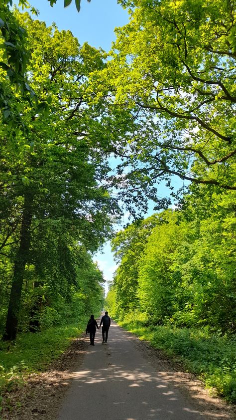 Forest French France walk aesthetic vibes travel foret cinematographic lovers couple cute destination inspo trip ideas date ideas sunny Walk Aesthetic, Walking In The Forest, Forest Walks, Vision Boarding, Walk In The Forest, Forest Walk, Couple Cute, Forest Road, Aesthetic Vibes