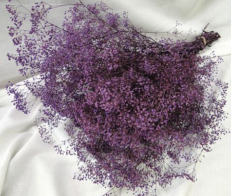 Gypsophilia dried purple Ceilidh Dance, Corn Dolly, Vintage Wedding Flowers, Baby Breath, Order Of The Day, Dry Flowers, Plan My Wedding, Lilac Color, Floral Crown