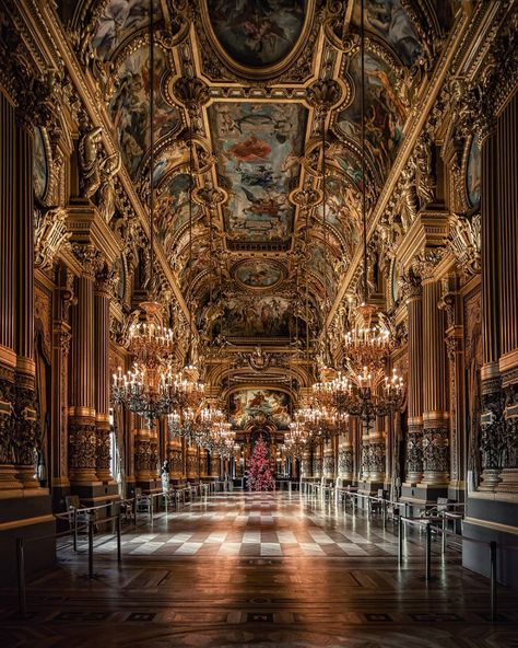 Fabien on Instagram: “Christmas tree is up, all good and ready for Santa 🎄🎅🏻 . @nikonfr D7500 / Tokina 12-24 . #nikonfr #nikon #christmastree #christmas #opera…” Garnier Aesthetic, Opera Garnier Paris, Opera Paris, Emperor Napoleon, Hohenzollern Castle, Paris Opera House, Opera Garnier, Academia Aesthetics, Paris Aesthetic