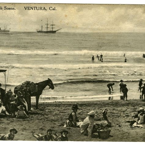 Ventura beach scene, with people sunbathing and swimming, horse and carriage on the left, and ships at sea. [MacGregor Bros., Ventura, Cal. (Albertype Co., Brooklyn, N.Y.)] Things To Do In Ventura California, Ventura California Aesthetic, Ace Ventura When Nature Calls, Ventura County California, Ventura Beach, Vintage Ventura California, Ventura California, Ventura County, California History