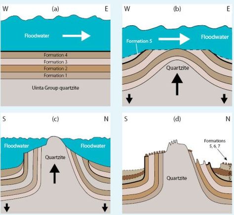 Structure Of The Earth, Sea Lily, Noah Flood, Continents And Oceans, The Continents, Under The Ocean, Book Of Genesis, Whole Earth, Noah S Ark