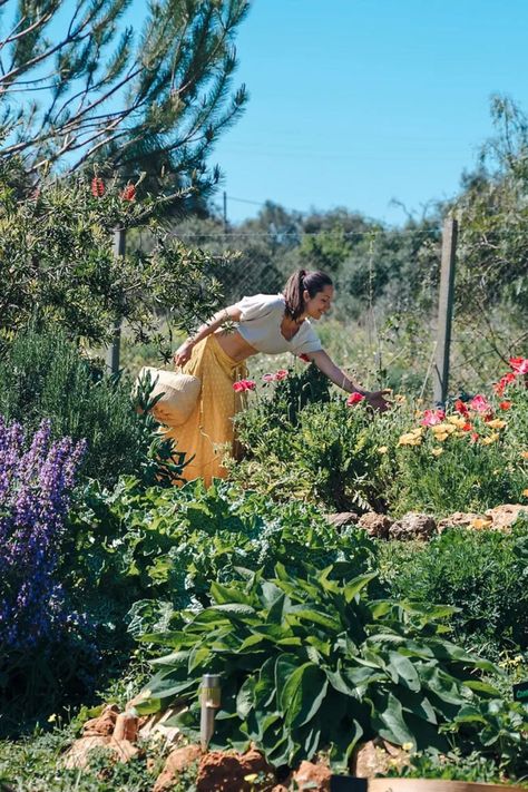 MamaSeed Naturals' medicine garden in southern Portugal is a sanctuary for cultivating medicinal herbs. This holistic space nurtures a deep connection with nature, reflecting the power of earth medicine and natural wellbeing. Embracing organic and lunar gardening, the garden is a dynamic ecosystem where learning and growth are encouraged, and rituals of gratitude honor the land. Here, every plant contributes to herbal healing, offering a profound engagement with the natural cycles. Wilderness Medicine, Medicinal Flower Garden, Natural Medicine Aesthetic, Medicinal Garden, Plant Medicine, Herbal Garden, Medicine Garden, Healing Flowers, Manifest Destiny