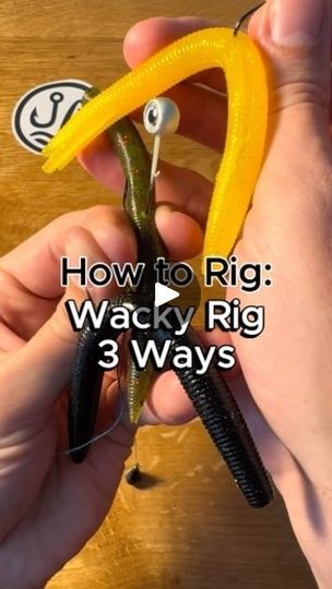 39K views · 1.9K reactions | What’s your favorite wacky rig variation?
#fishing #fishingtips #howto #bassfishing #largemouthbass #largemouthbassfishing #largemouth @yum_baits @yamamoto_fishing #yumbaits #yamamotobaits | Juran Adventures | juranadventures · Original audio Wacky Rig Fishing, Largemouth Bass Fishing, Fishing Rigs, Largemouth Bass, Fishing Tips, Bass Fishing, Fishing, Audio, Fish