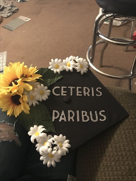 Economics graduation cap! Diy Graduation Decorations, College Grad Cap Ideas, College Graduation Cap Decoration, Graduation Cap Designs, Graduation Cap Decoration, Cap Decorations, Cap Designs, Grad Pics, Grad Cap