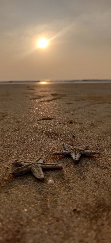 Taking a stroll by the beach is something that soothes my soul and makes me truly happy. The smile comes effortlessly and the magic happens when there is nothing between you and nature. #malgundbeach #ratnagiri #konkan #maharashtra Ratnagiri Beaches, Ratnagiri Photography, Konkan Nature, Konkan Maharashtra, Artsy Photos, Marvel Spiderman Art, The Smile, By The Beach, Flower Art Painting