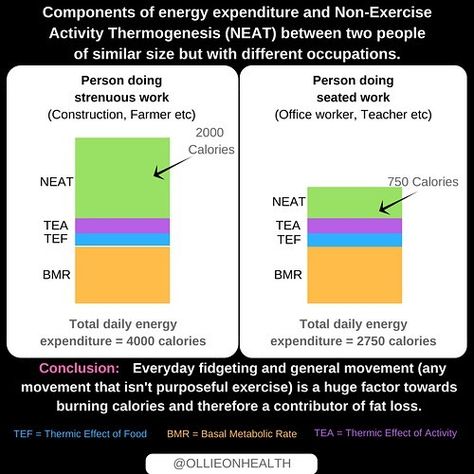 TAKE A READ ⬇️ Non-exercise activity thermogenesis (also known as NEAT) is essentially, the energy your body burns during everything you do that is not sleeping, eating or exercising. Therefore this is largely made up of everyday fidgeting and movement at work.  _____________________________________________ As you might expect, NEAT can massively vary from person to person. For example a typical construction worker doing lots of carrying, lifting and walking throughout the day will burn many mor Basal Metabolic Rate, Sport Diet, Exercise Activities, Not Sleeping, Fat Loss Program, Different Diets, Protein Rich Foods, Daily Energy, 2000 Calories