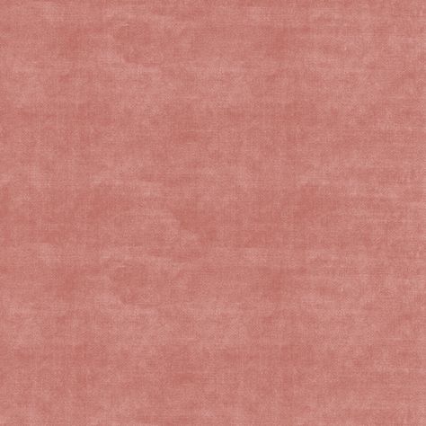 Velluto Ballet 405565 by PKL Studio Fabric - Fabric Carolina Pink Carpet Texture Seamless, Peach Fabric Texture, Pink Velvet Texture, Pink Fabric Texture, Pink Velvet Fabric, Peach Fabric, Waverly Fabric, Pink Texture, Velvet Texture