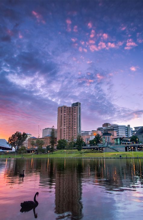 Once overshadowed by Australia’s flashier eastern metropolises, like Sydney and Melbourne, Adelaide is ready for its close-up. The laid-back capital city of South Australia enchants with its vibrant culinary scene, world-class arts festivals, ample parkland, buzzing nightlife, perfectly gridded and pedestrian friendly downtown, and accessible escapes to some of the country’s most celebrated wine valleys. It is, in short, an opportune place to spend a relaxing but event-filled long weekend. Visit Sydney, Adelaide Australia, Adelaide South Australia, South Australia, Western Australia, Tourist Attraction, Bangkok, Night Life, Travel Blog