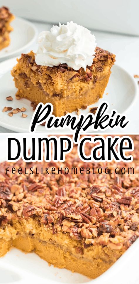 Pumpkin Pie Dump Cake, Easy Pumpkin Dump Cake, Yellow Cake Mix Recipes, Pumpkin Dump Cake Recipe, Pumpkin Dump, Dump Cake Pumpkin, Pumpkin Cake Recipes, Spice Cake Mix, Homemade Applesauce