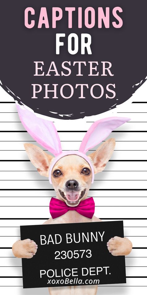 Peep Quotes Easter, Funny Easter Bunny Pictures, Easter Funny Pictures, Easter Puns Funny, Easter Quotes Funny Humor, Easter Dog Photoshoot, Easter Captions Instagram, Funny Easter Sayings, Easter Bunny Quotes