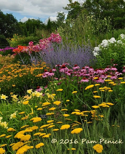 Minnesota Garden, Pollinator Garden Design, Native Plant Landscape, Minnesota Landscape, Minnesota Landscaping, Native Plant Gardening, Garden Design Layout, Flower Garden Design, Garden Artwork