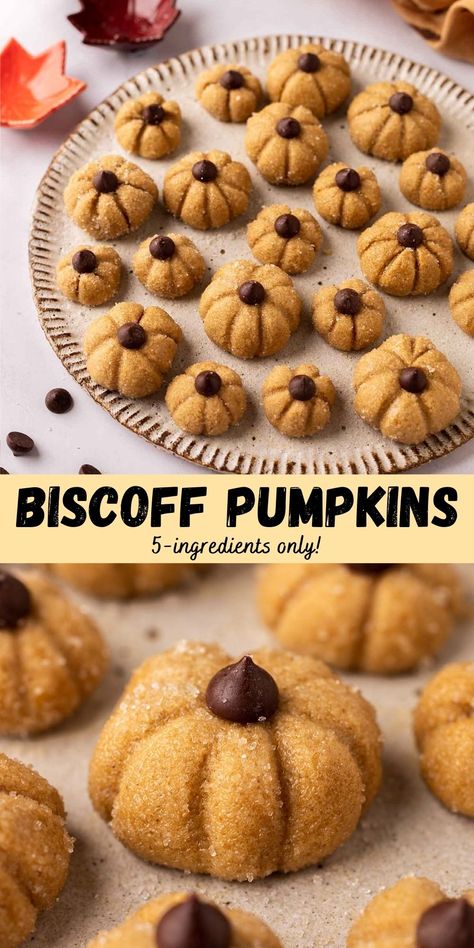 These biscoff pumpkins are adorable snacks and cake/cupcake toppers for Fall/Autumn or Halloween! They consist of a three-ingredient biscoff truffle and are fun to make. Biscoff Vegan Recipes, Biscoff Pumpkins, Halloween Pumpkin Cupcakes, Vegan Halloween Snacks, Fall Truffles, Fall Dessert Bar, Vegan Halloween Desserts, Halloween Truffles, Vegan Fall Dessert