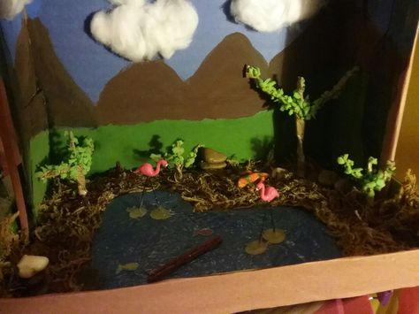 Kyleigh's flamingo diorama Flamingo Habitat Diorama, Flamingo Diaroma, Flamingo Habitat Project, Flamingo Habitat, Animal Environment, Habitat Diorama, Flamingo Projects, Kids School Papers, Rainforest Project