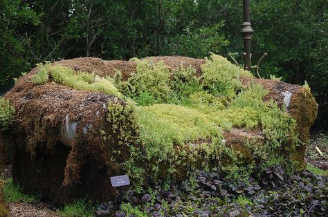 Mossy Couch (ilovememphis, via Flickr) Moss Couch, Moss Furniture, Moss Sofa, Moss Gardens, Moss Graffiti, Gardening Indoors, Lost Gardens Of Heligan, Bottle Trees, Lost Garden