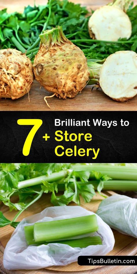 How To Store Grapes, Store Celery, How To Freeze Celery, How To Store Celery, Pickled Celery, Preserving Vegetables, Canning Vegetables, Filling Dinner, Drying Dill