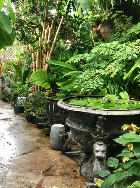 Vintage Decorating Ideas, Dream Garden Backyards, Garden River, Front Lawn Landscaping, River Rock Garden, Conservatory Greenhouse, Backyard Covered Patios, Rustic Garden Ideas, Tropical Garden Design