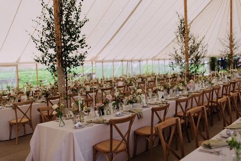 A dreamy marquee set-up at @findon_place for Nicola & Olivier, featuring tables laden with bloom-filled bud vases, foliage installations and the subtle twinkle of fairy lights 💫 #ukweddingplanner #weddingadvice #weddingtips#engaged #weddinginspiration #weddingstyling #weddingstylist #WeddingPlanningHelp #weddingplanninghelp #weddingplanningsupport #weddingplanningideas #weddinginspiration #weekendwedding #summerwedding #weddingflowers #marqueewedding #marqueeweddingstyling Findon Place, Marquee Decoration, Wedding Planning Help, Tent Ideas, Country Wedding Flowers, Wedding Marquee, Birthday Dinner Party, Tipi Wedding, Wedding Cake Stands