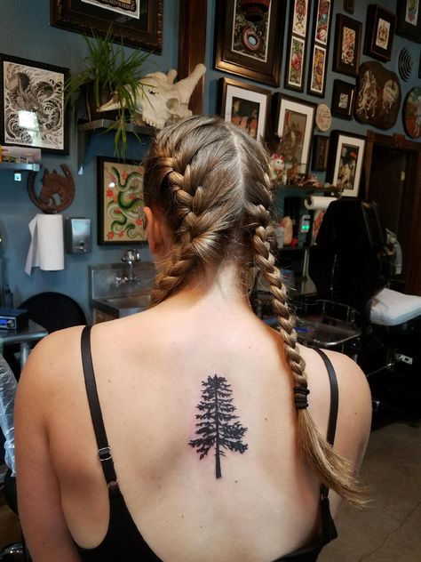 Western Hemlock Tattoo, Douglas Fir Tree Tattoo, Douglas Fir Tattoo, Hemlock Tattoo, Hemlock Tree, Western Hemlock, Tree Tat, Douglas Fir Tree, Tattoo Tree