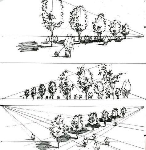 Landscape Architecture Tree Sketch, How To Draw Trees, Bio Architecture, Landscape Drawing Tutorial, Draw Trees, Perspective Sketch, Landscape Design Drawings, Landscape Architecture Drawing, Perspective Drawing Architecture