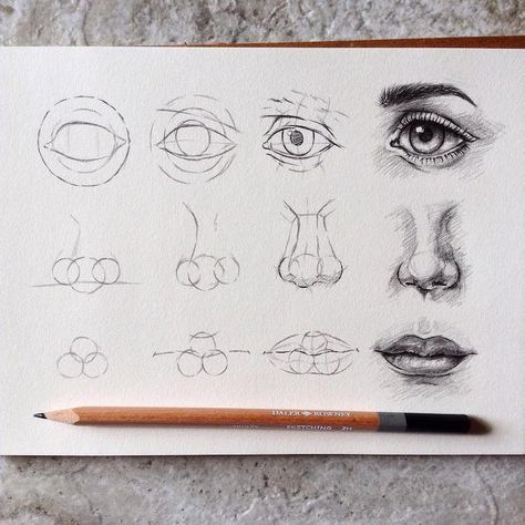 Artist Shares Drawing Tips in Educational Step-by-Step Tutorials Realistic Eye Drawing, Eye Drawing Tutorials, Drawing Eyes, Nose Drawing, Výtvarné Reference, Drawing Faces, 인물 드로잉, Ink Drawings, Realistic Drawings