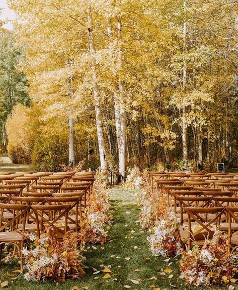 Rocky Mountain Bride | Wedding Inspiration on Instagram: "the magic of fall in the Rockies 🍁🍂 Where are all our fall couples at? drop a comment below if you’re saying “I do” with the fall foliage as your backdrop ⬇️ VENDORS Coordinator @heatherminorevents Photography @sofiadewolfephotography Floral @floret.designstudio Catering @rasberrys_eatery Bar @roadbars #fallwedding #sunvalley #idaho #idahowedding #idahoweddingphotographer #sunvalleywedding #rockymountainbride #fallwedding" Outdoor Fall Wedding Altar, Nature Fall Wedding, Oregon Fall Wedding, Fall Wedding In The Mountains, Autumn Mountain Wedding, Fall Weddings Outside, Fall Field Wedding, Fall Wedding Colorado, Mountain Wedding Fall