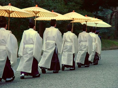 Shinto Priests Marching at Meiji Temple Shrine Japanese Costume, Shinto Shrine, Photography Exhibition, Japan Culture, Art Japonais, Suzuki Swift, Maneki Neko, Japanese Outfits, People Of The World