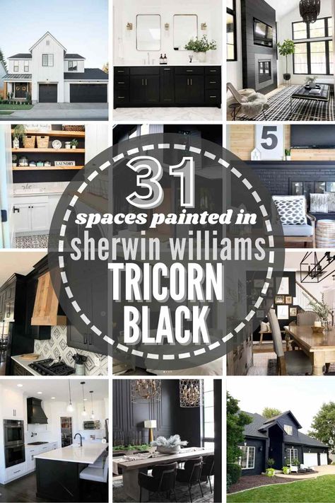 Best Black Ceiling Paint Color, Black Trim Interior Kitchen, Iron Ore Vs Tricorn Black Exterior, Sherwin Williams Black Door Paint, Tricorn Black Sherwin Williams Fireplace, Paint Door And Trim Same Color, Sherwin Williams Tricorn Black Door, Tricorn Black Doors Interior, Tricorn Black Fireplace Wall