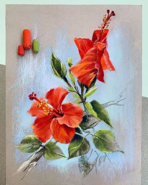 Soft Pastel Flowers Painting, Soft Pastel Art Flower, Soft Pastels Flowers, Dry Pastel Art, Dry Pastel Drawing, Oil Pastel Flowers, Soft Pastel Flowers, Dry Pastels, Crayons Pastel