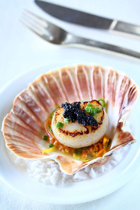 Scallop In Shell, Scallops And Caviar, Plated Starters, Scallops In Shell, Food Presentation Plates, Gourmet Food Plating, Airport Taxi, Luxury Food, Molecular Gastronomy