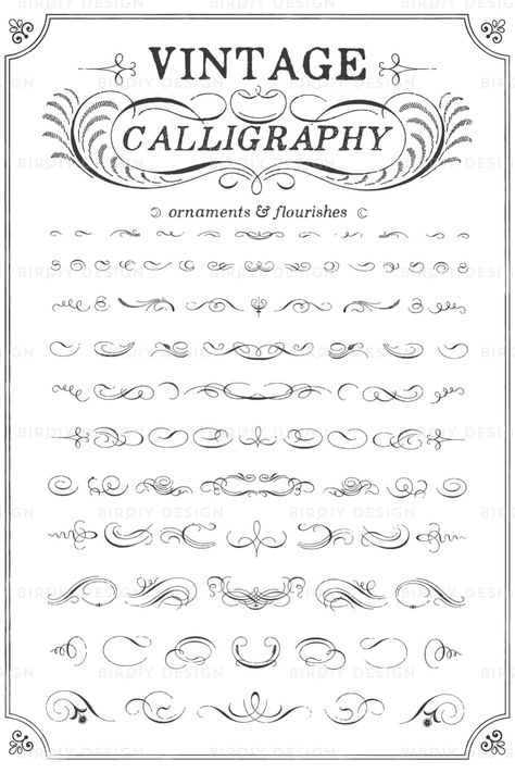 Filagree Drawings, Lettering Layout, Camp Projects, Vintage Calligraphy, Flourish Calligraphy, Boho Clipart, Calligraphy Fonts Alphabet, Whiskey Bottles, Omerta Tattoo