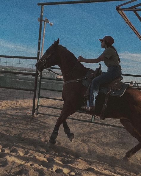 Barrel Racing Arena, Barrel Racer Aesthetic, Barrel Racing Aesthetic, Western Horse Riding Aesthetic, Barrel Racing Photography, Barrel Racing Asthetic, Wild Angel, Real Cowgirl, Cowgirl Photography