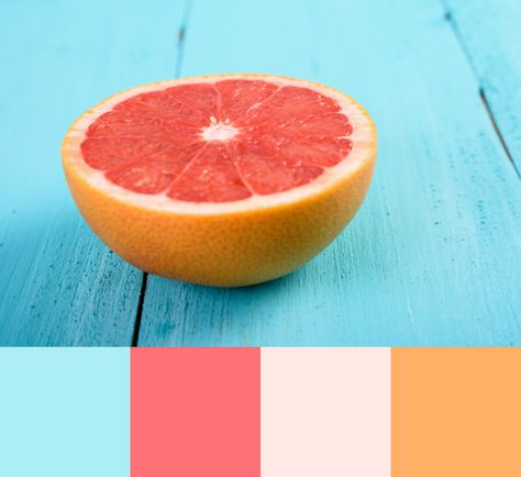 Beach House Color Palette, Food Colors Palette, Beach House Colors, House Color Palettes, Watercolor Paintings Tutorials, Color Palette Design, Color Inspo, Colour Board, Canvas Designs