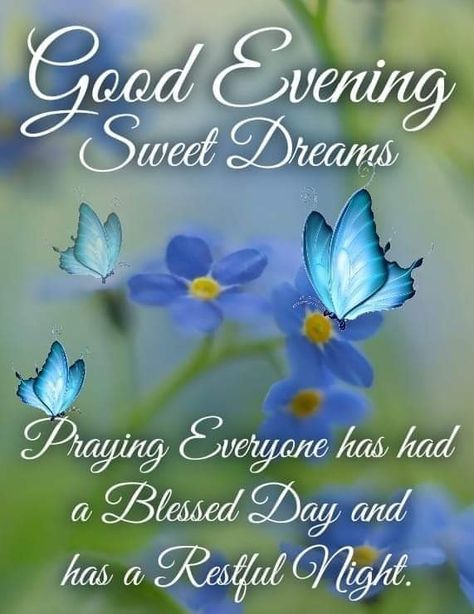 Have A Blessed Evening, Blessed Evening, Good Evening Messages, Good Evening Greetings, Evening Greetings, Good Night Love Images, Good Night Blessings, Good Night Greetings, Good Night Sweet Dreams