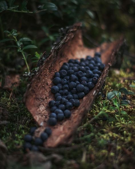 The Green Fairy, Nature Food, Home Nature, Green Fairy, Dark Cottagecore, Food Family, Family Tradition, Little Cottage, Fantasy Aesthetic