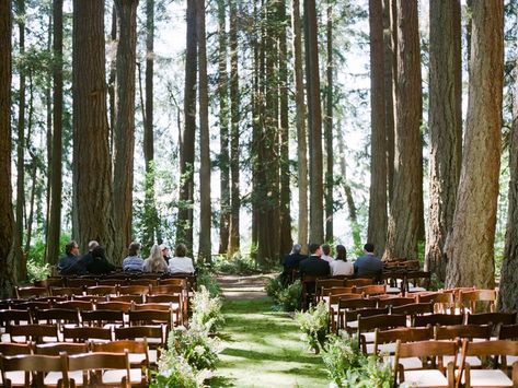 Nicole+Stuart | Woodsy Wedding at Kitsap Memorial State Park — Amy Kiel Photography | Seattle and Portland Film Wedding and Portrait Photographer Enchanted Forrest Wedding, Haunted Wedding, Moss Wedding, Forest Wedding Venue, Aisle Runner Wedding, Woodsy Wedding, Aisle Runner, Memorial Park, Wedding Mood Board