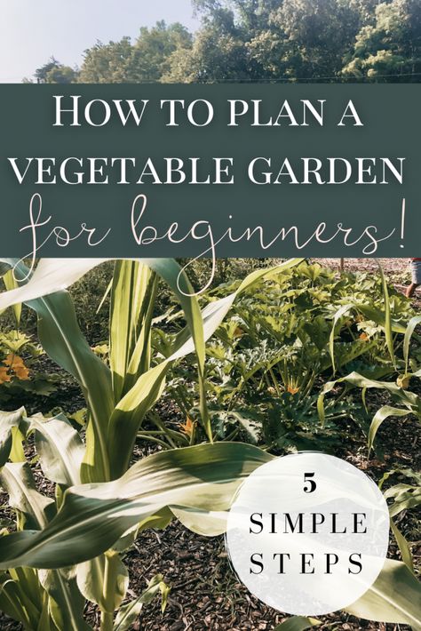 Garden Planting Layout, Planting Layout, Small Vegetable Garden, Small Garden Layout, Start Gardening, Garden Planning Layout, Garden For Beginners, Growing Organic Vegetables, Small Vegetable Gardens