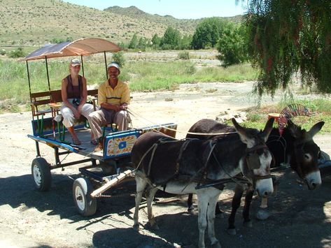 Donkey cart tours – Nieu Bethesda Donkey Cart, Farm Pictures, Local Brewery, Eastern Cape, The Donkey, Village Life, Local Art, Donkeys, Drinking Beer